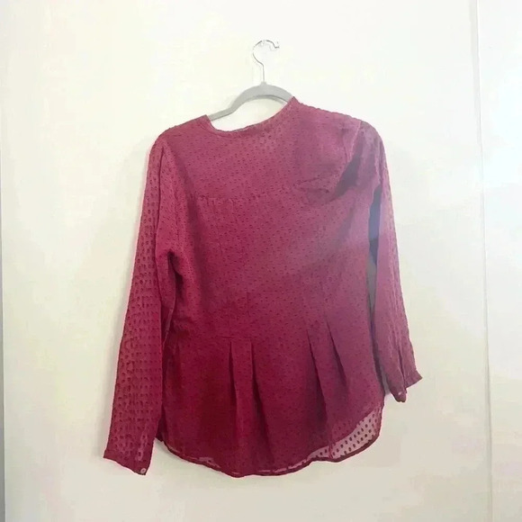 Anthropologie Swiss dot silk blouse - Picture 5 of 5